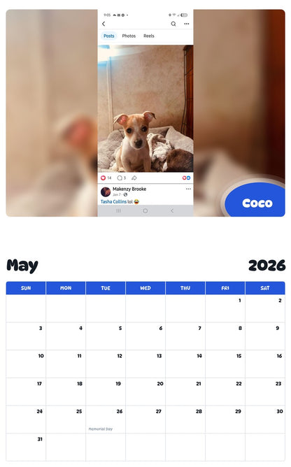 2026 - 2027 Coco - Pawidols Pet Calendar