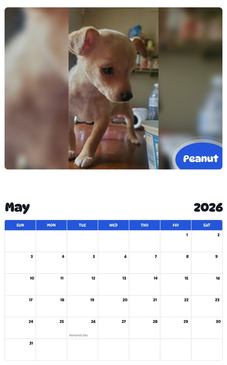 2026 - 2027 Peanut - Pawidols Pet Calendar