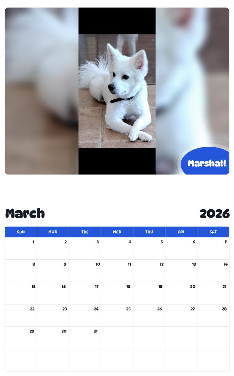 November 2025 - October 2026 Marshall - Pawidols Pet Calendar