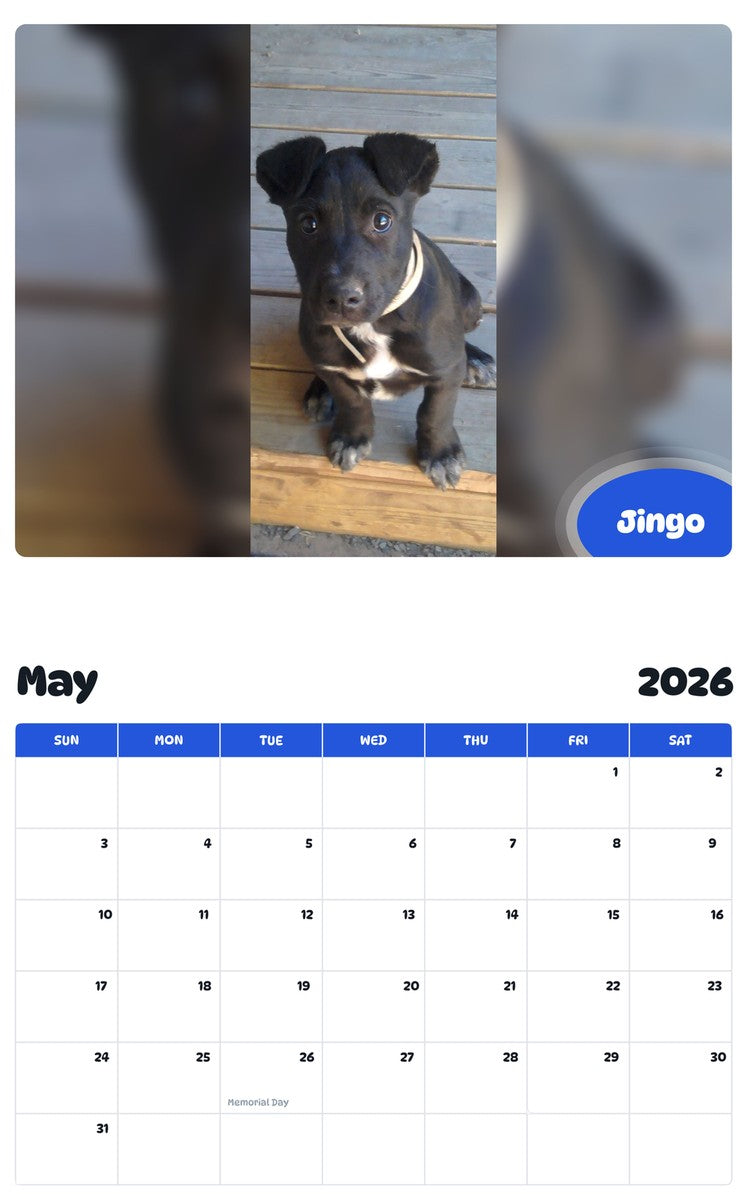 2026 - 2027 Jingo - Pawidols Pet Calendar