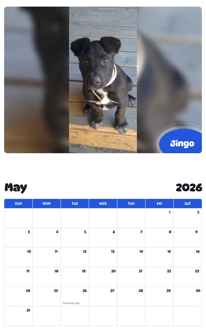 2026 - 2027 Jingo - Pawidols Pet Calendar