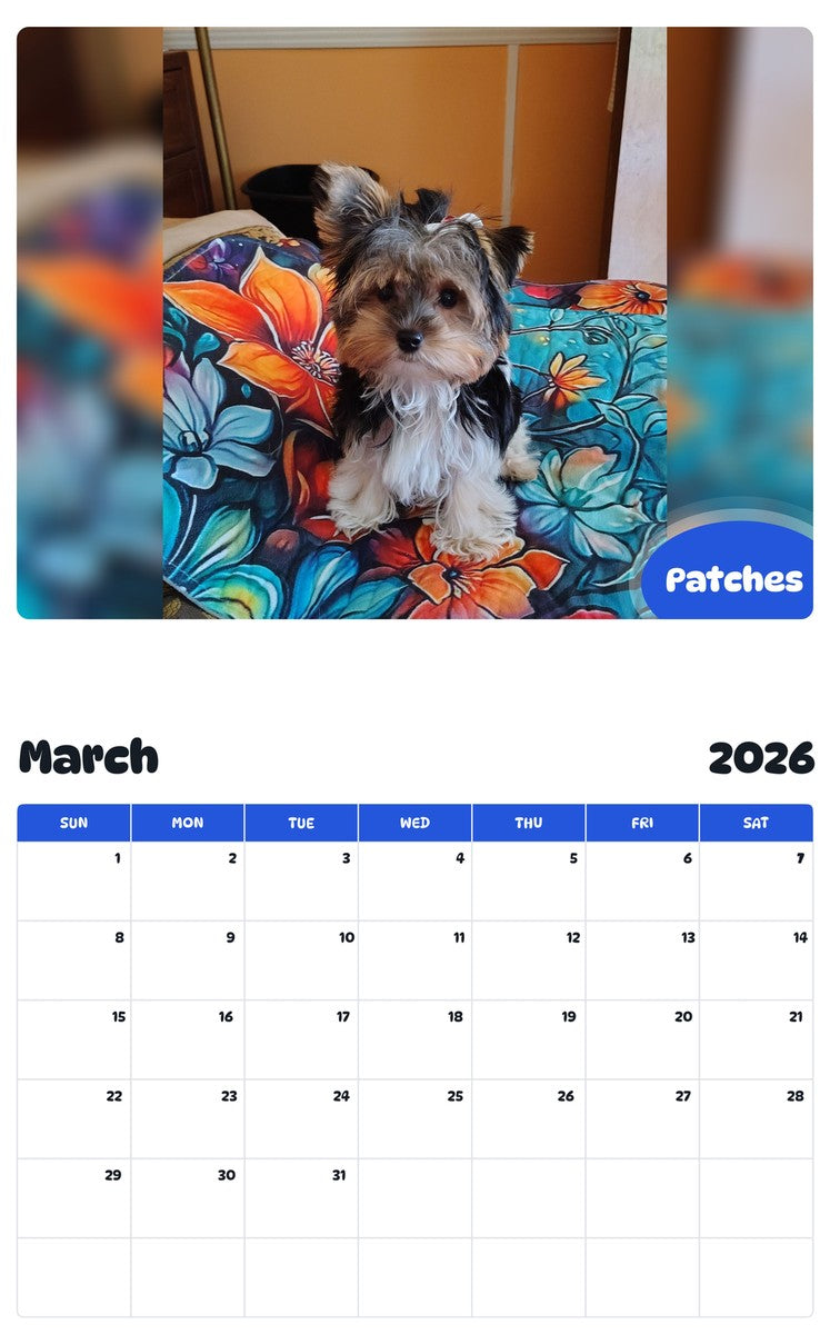November 2025 - October 2026 Patches - Pawidols Pet Calendar