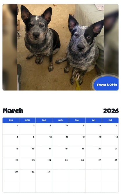 November 2025 - October 2026 Freya & Otto - Pawidols Pet Calendar