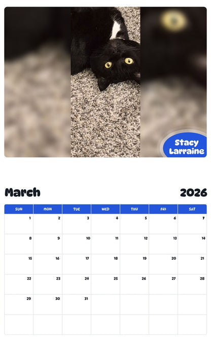 November 2025 - October 2026 Stacy Larraine - Pawidols Pet Calendar