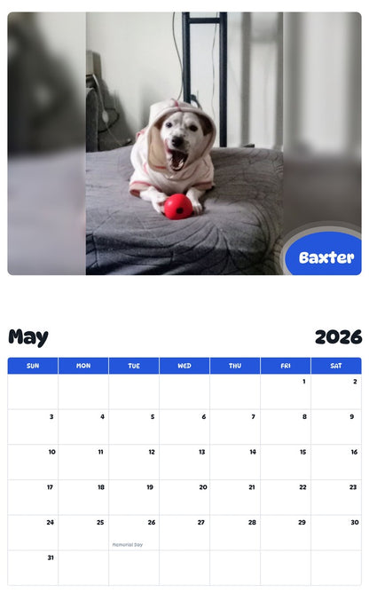 2026 - 2027 Baxter - Pawidols Pet Calendar