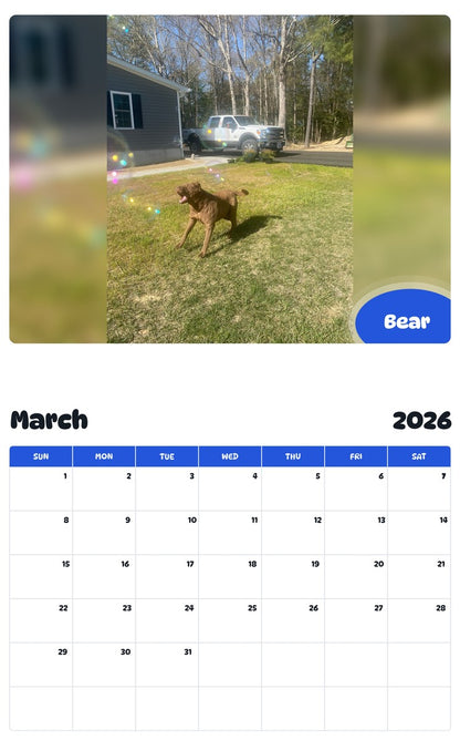 November 2025 - October 2026 Bear - Pawidols Pet Calendar
