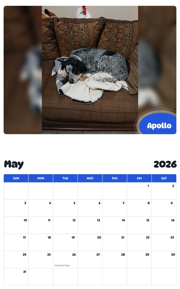 2026 - 2027 Apollo - Pawidols Pet Calendar