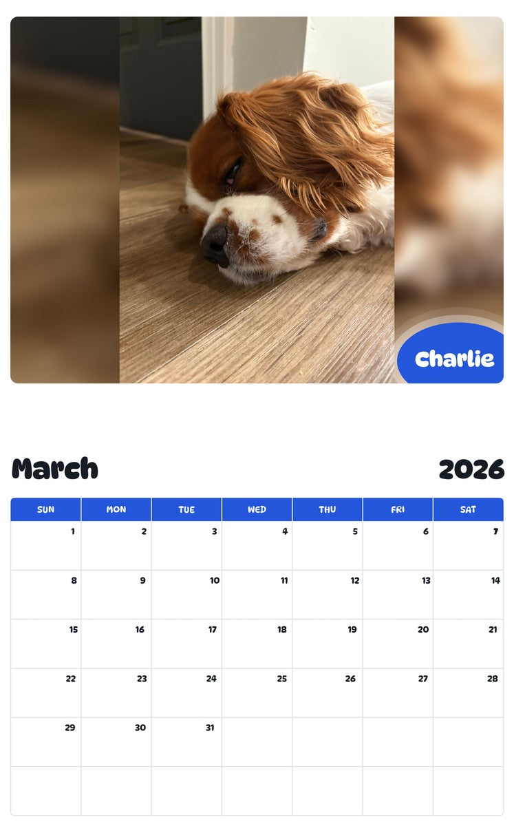 November 2025 - October 2026 Charlie - Pawidols Pet Calendar