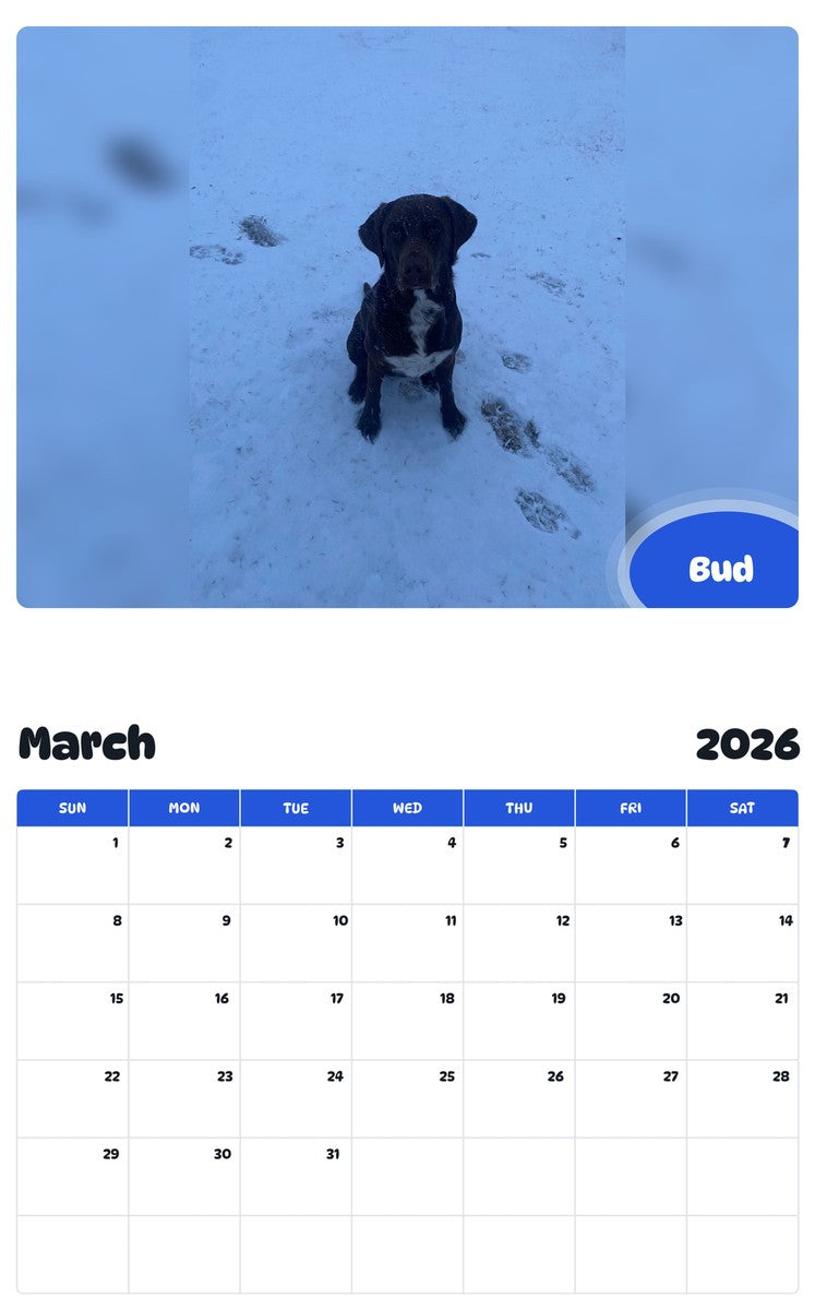November 2025 - October 2026 Bud - Pawidols Pet Calendar