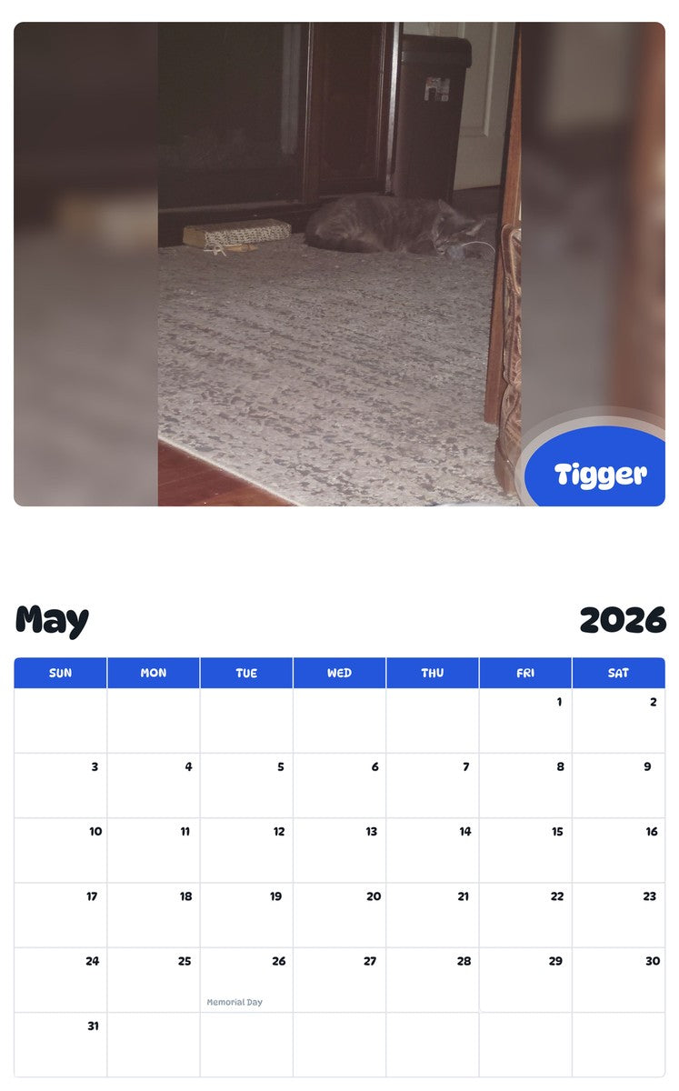 2026 - 2027 Tigger - Pawidols Pet Calendar