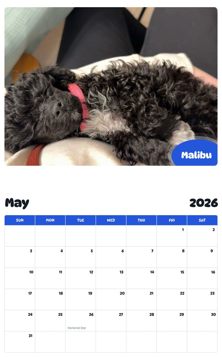 2026 - 2027 Malibu - Pawidols Pet Calendar