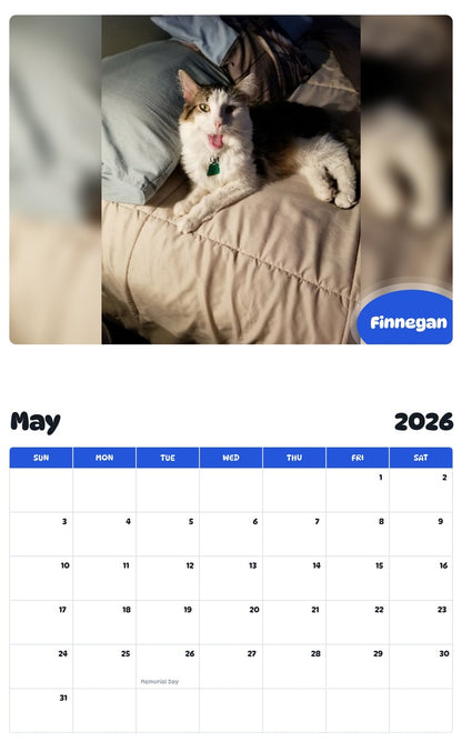 2026 - 2027 Finnegan - Pawidols Pet Calendar