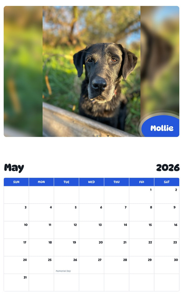 2026 - 2027 Mollie - Pawidols Pet Calendar