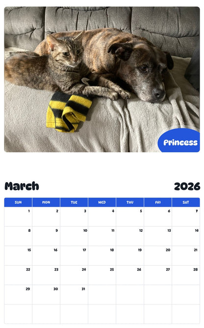 November 2025 - October 2026 Princess - Pawidols Pet Calendar