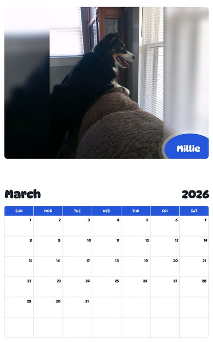 November 2025 - October 2026 Millie - Pawidols Pet Calendar