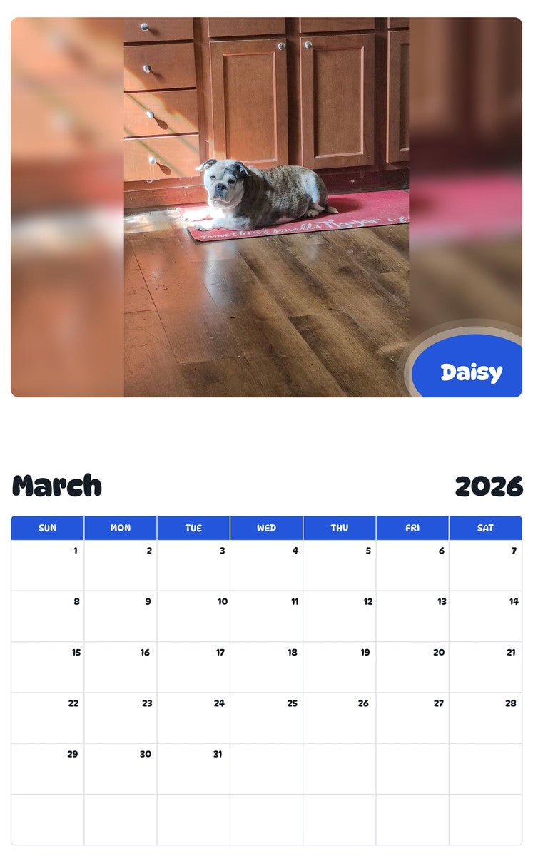November 2025 - October 2026 Daisy - Pawidols Pet Calendar