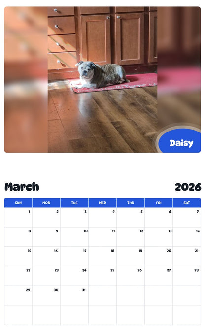 November 2025 - October 2026 Daisy - Pawidols Pet Calendar