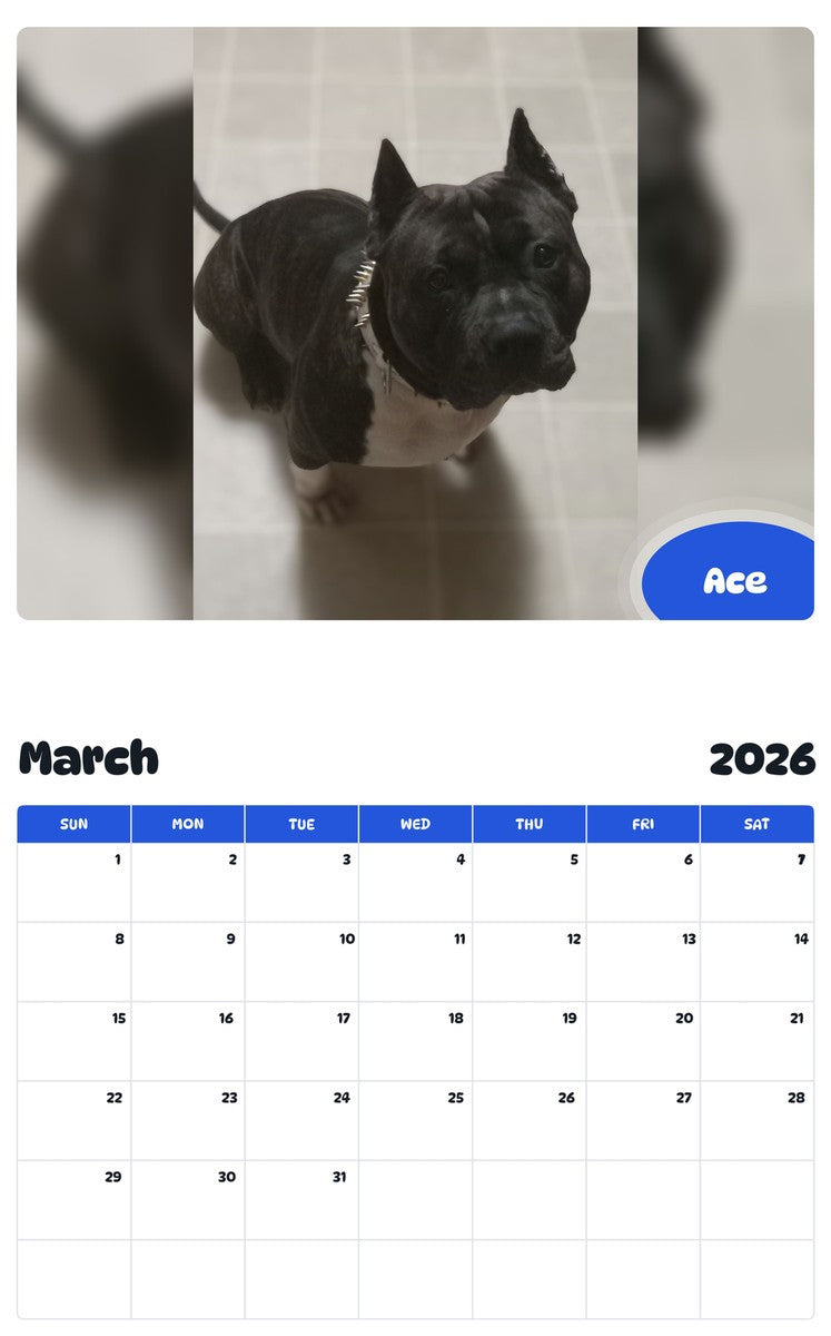 November 2025 - October 2026 Ace - Pawidols Pet Calendar