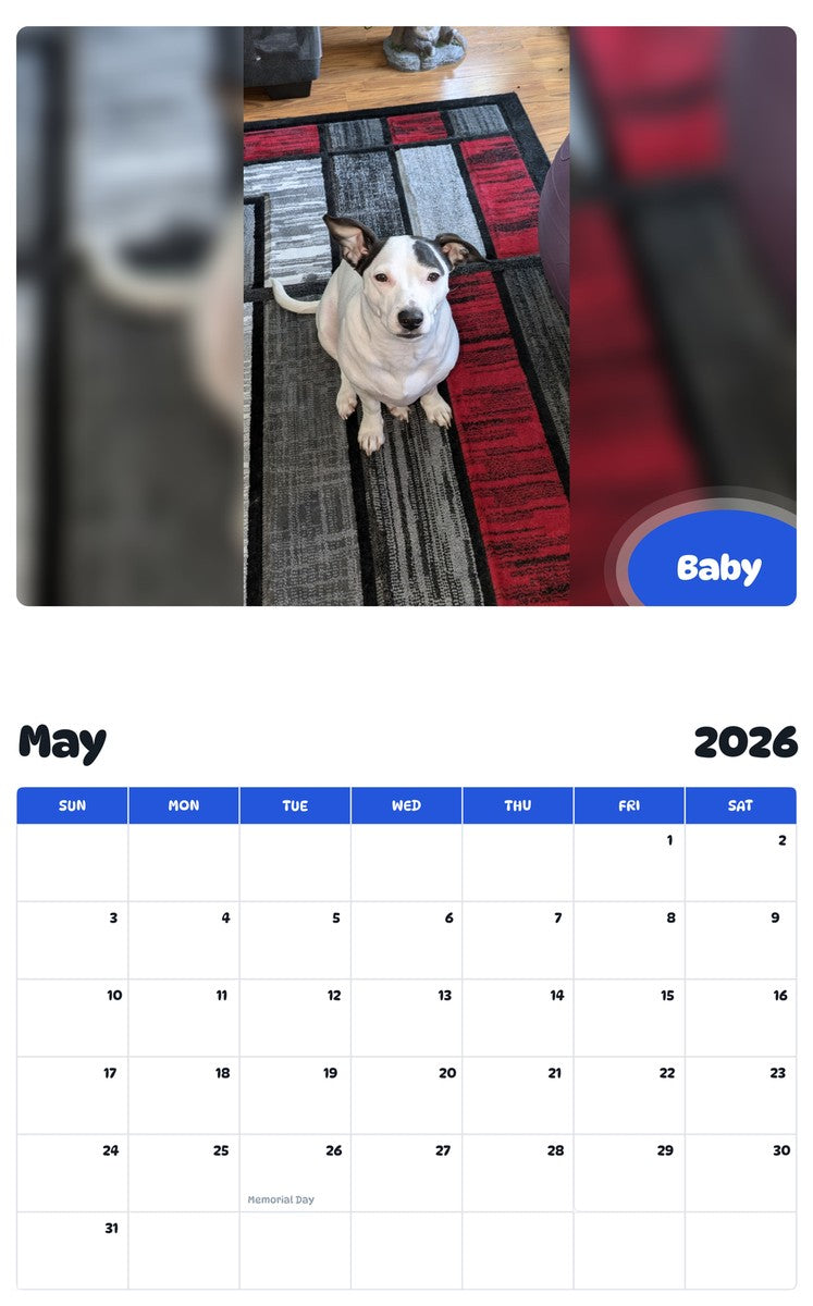 2026 - 2027 Baby - Pawidols Pet Calendar