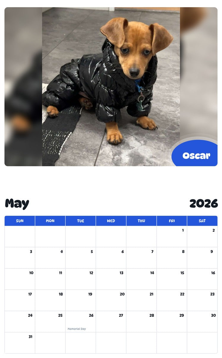2026 - 2027 Oscar - Pawidols Pet Calendar