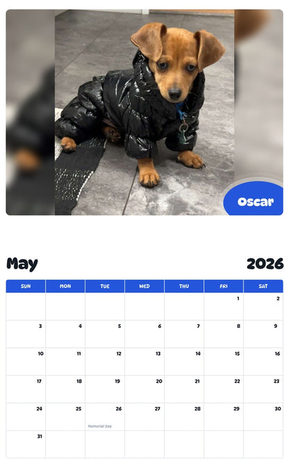 2026 - 2027 Oscar - Pawidols Pet Calendar