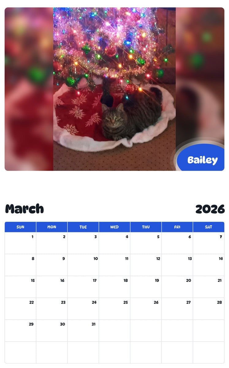November 2025 - October 2026 Bailey - Pawidols Pet Calendar