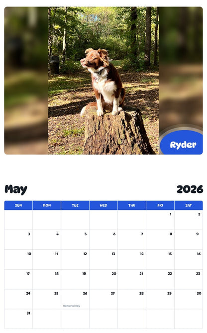 2026 - 2027 Ryder - Pawidols Pet Calendar