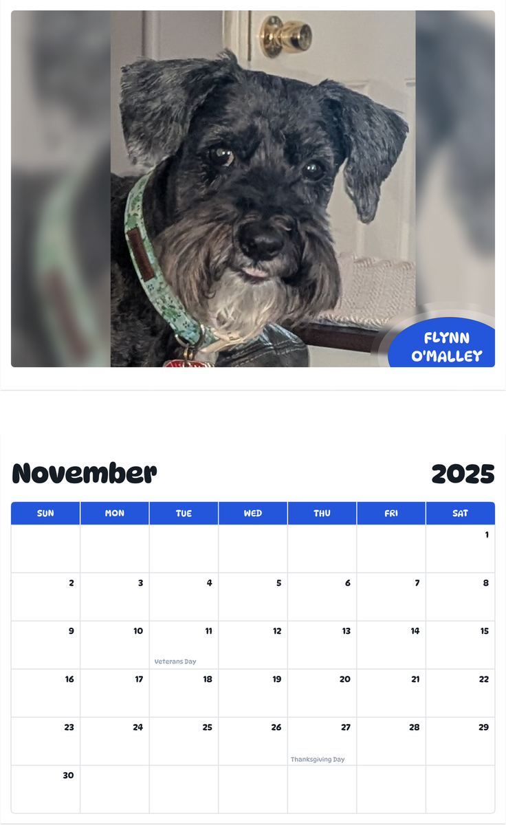 July 2025 - June 2026 Flynn O'Malley - Pawidols Pet Calendar