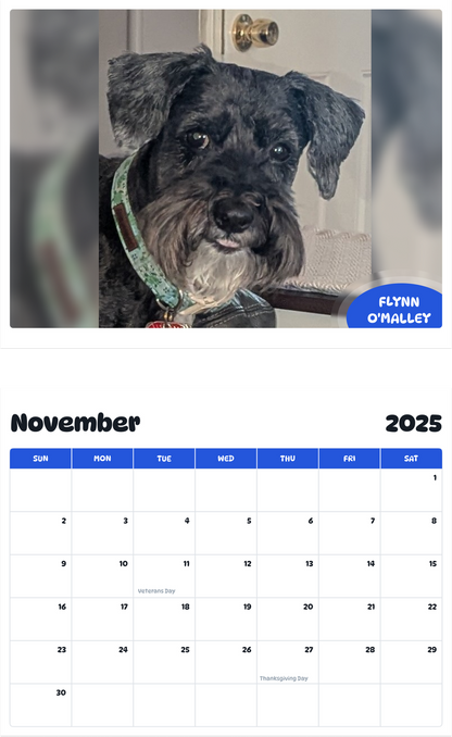 July 2025 - June 2026 Flynn O'Malley - Pawidols Pet Calendar