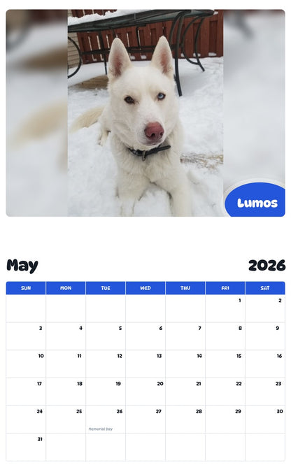 2026 - 2027 Lumos - Pawidols Pet Calendar