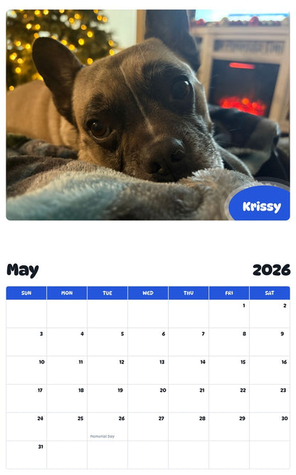 2026 - 2027 Krissy - Pawidols Pet Calendar