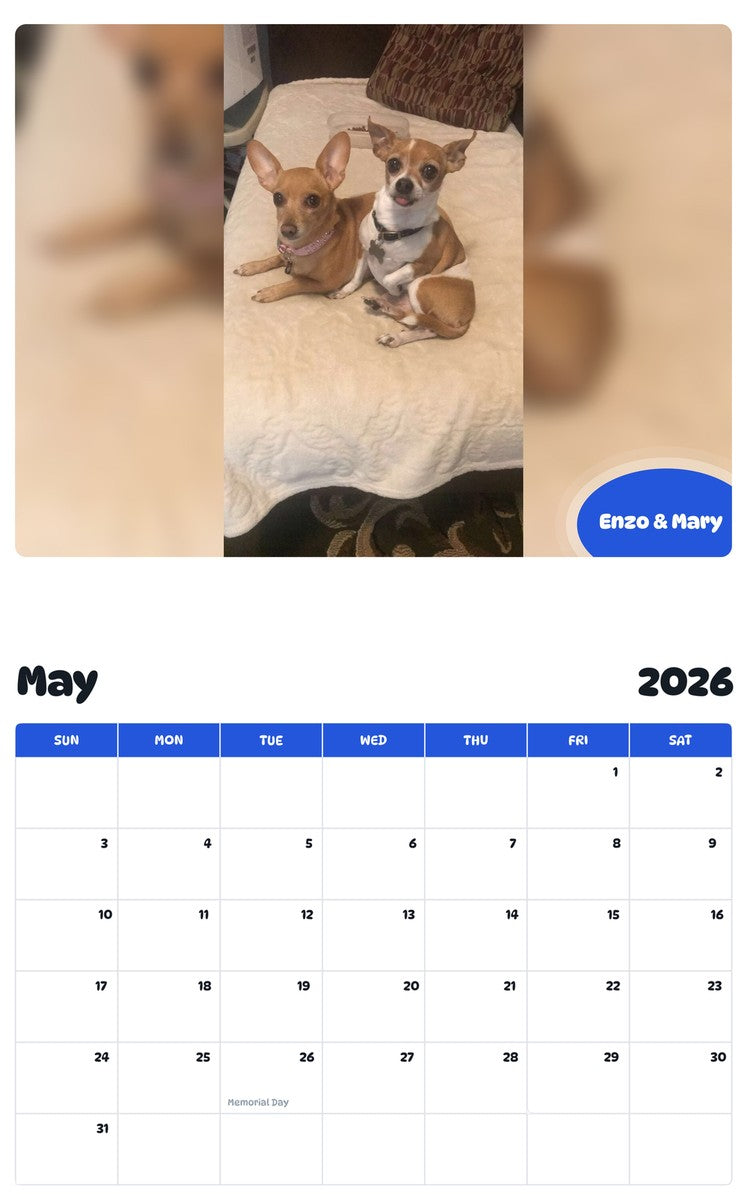 2026 - 2027 Enzo & Mary - Pawidols Pet Calendar