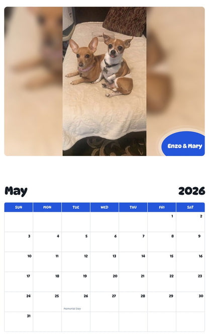 2026 - 2027 Enzo & Mary - Pawidols Pet Calendar