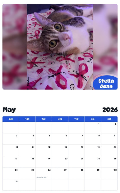 2026 - 2027 Stella Jean - Pawidols Pet Calendar
