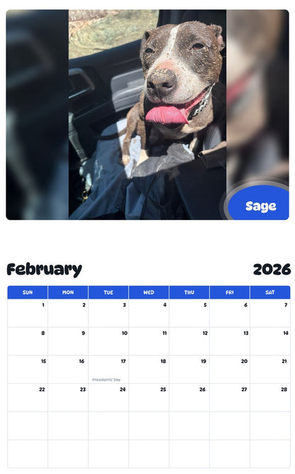 November 2025 - October 2026 Sage - Pawidols Pet Calendar