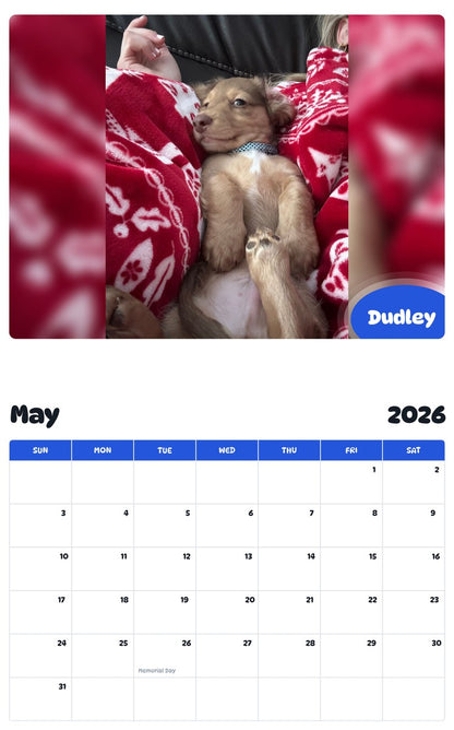 2026 - 2027 Dudley - Pawidols Pet Calendar