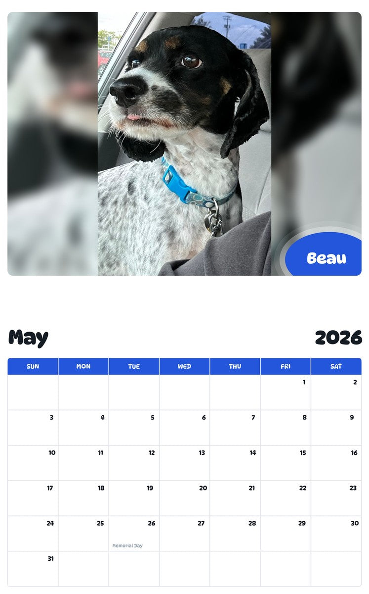 2026 - 2027 Beau - Pawidols Pet Calendar