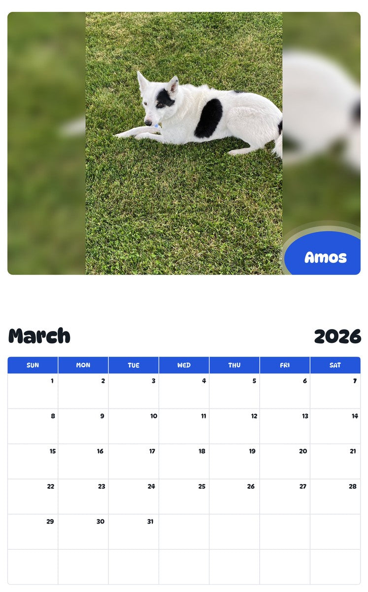 November 2025 - October 2026 Amos - Pawidols Pet Calendar