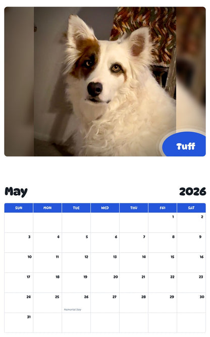 2026 - 2027 Tuff - Pawidols Pet Calendar