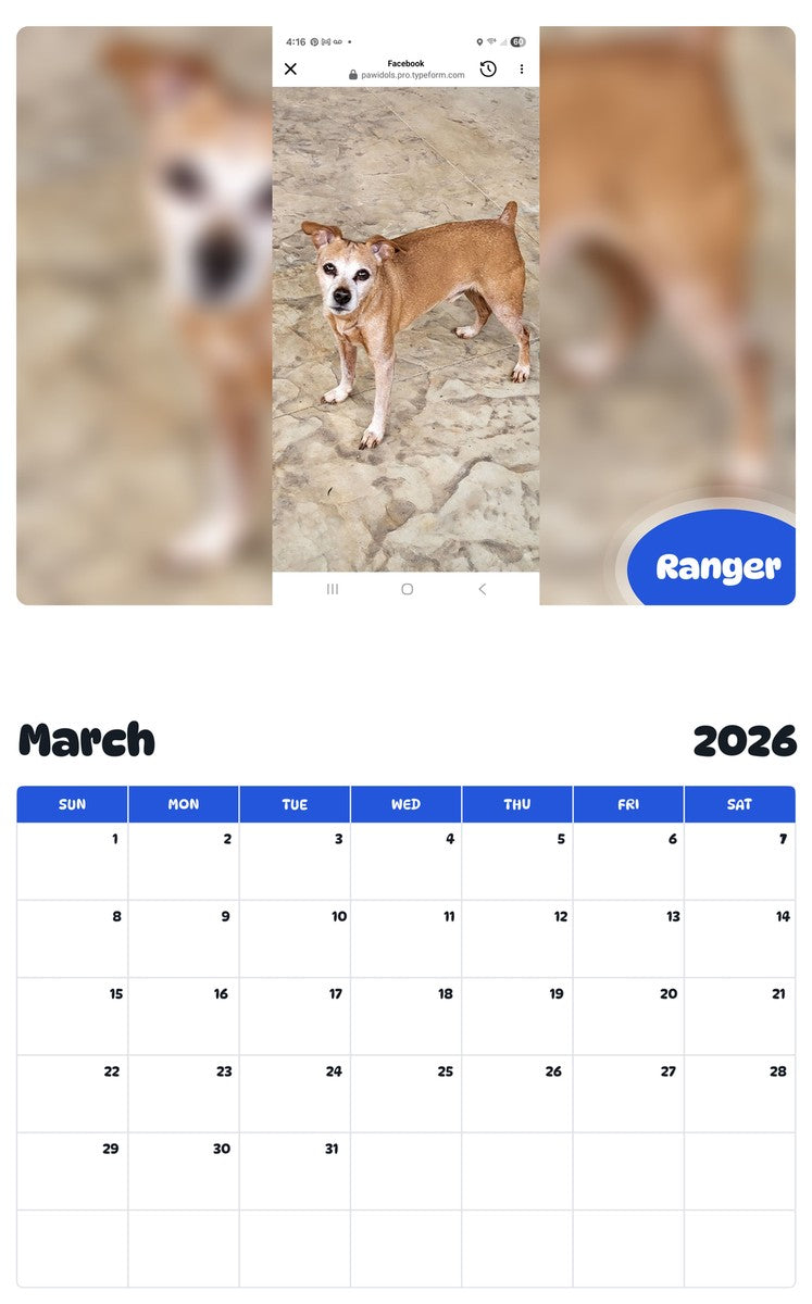 November 2025 - October 2026 Ranger - Pawidols Pet Calendar