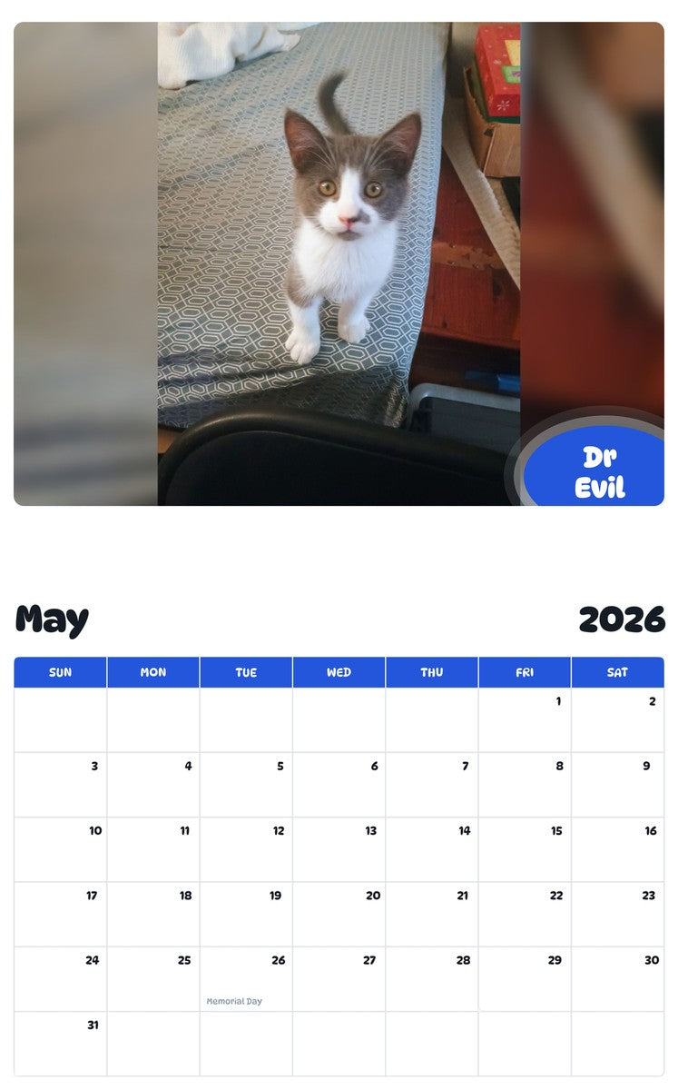 2026 - 2027 Dr Evil - Pawidols Pet Calendar