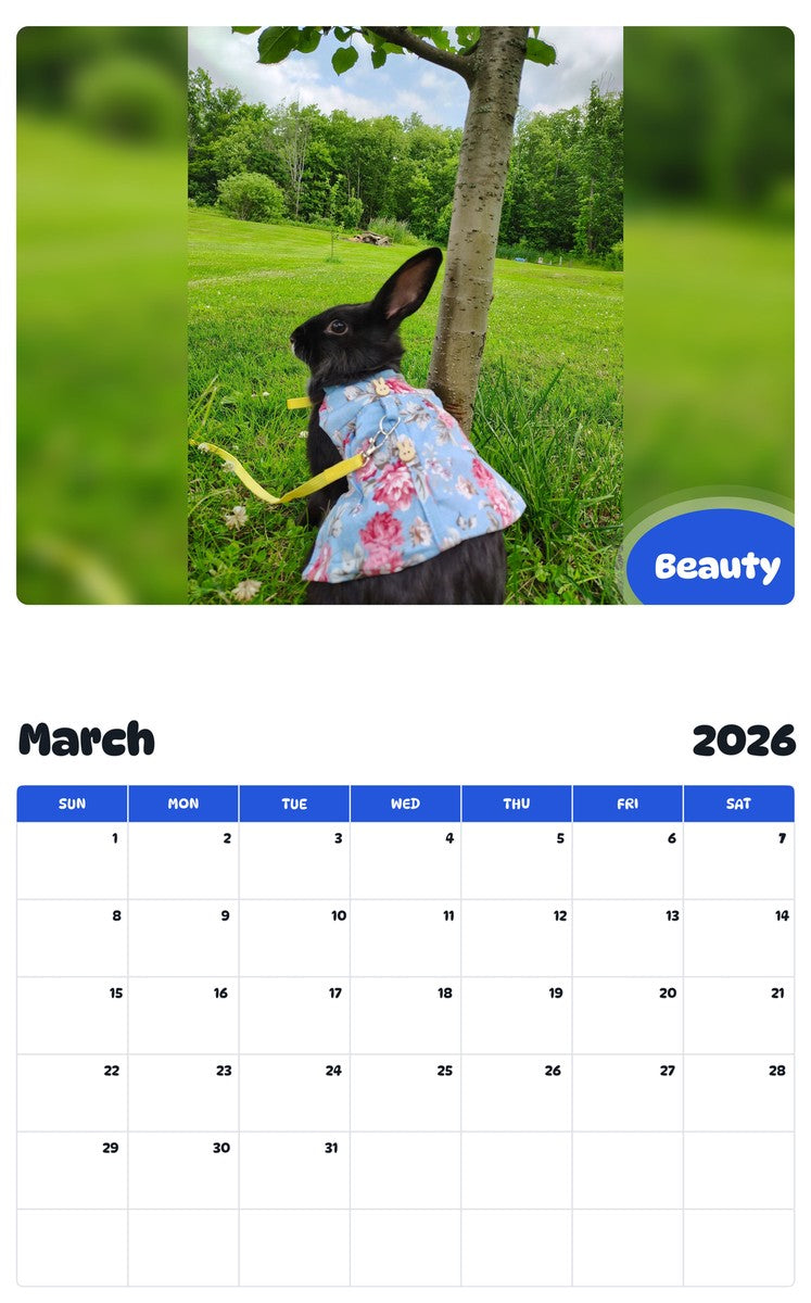 November 2025 - October 2026 Beauty - Pawidols Pet Calendar