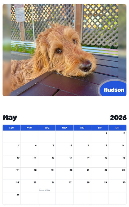 2026 - 2027 Hudson - Pawidols Pet Calendar