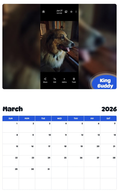 November 2025 - October 2026 King Buddy - Pawidols Pet Calendar