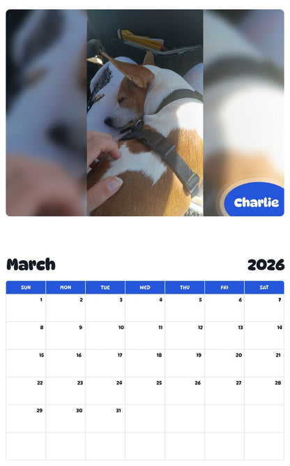 November 2025 - October 2026 Charlie - Pawidols Pet Calendar