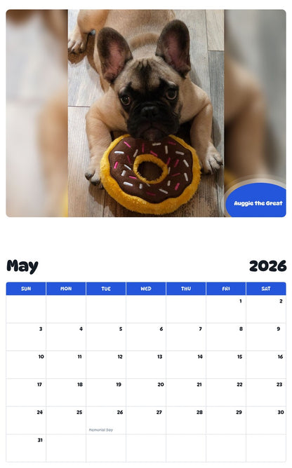 2026 - 2027 Auggie the Great - Pawidols Pet Calendar