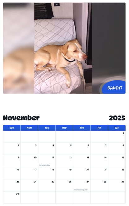 July 2025 - June 2026 Bandit - Pawidols Pet Calendar
