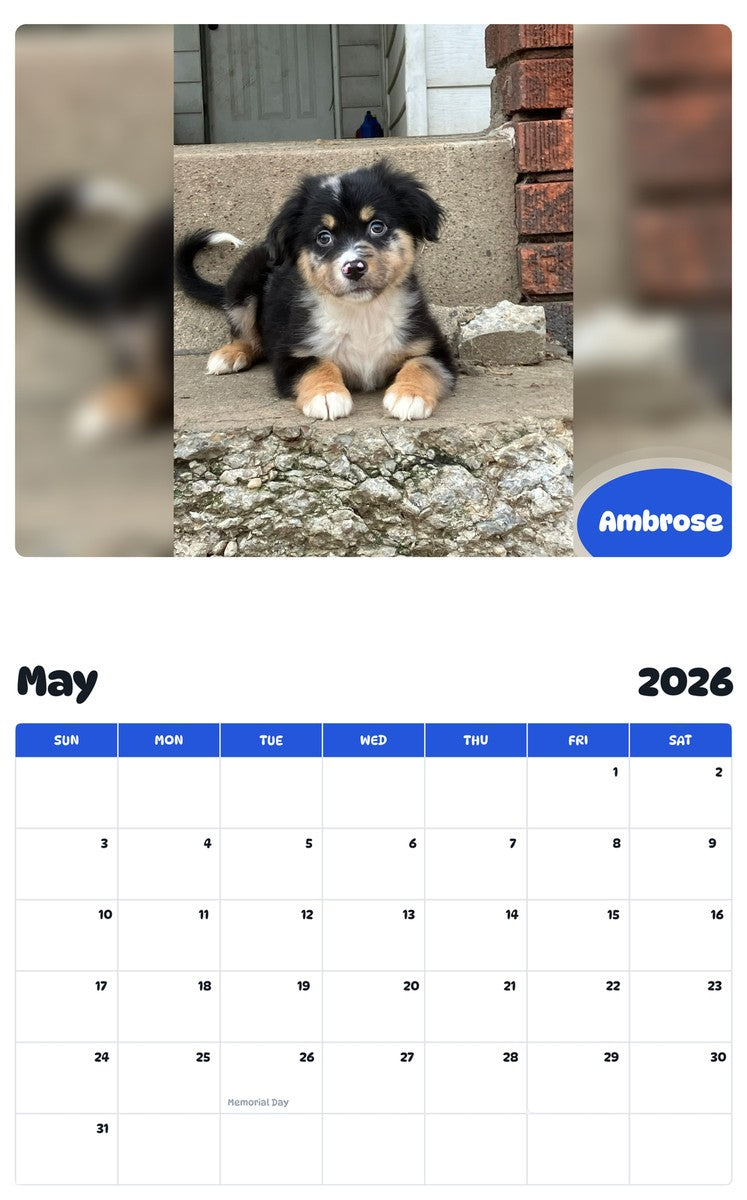 2026 - 2027 Ambrose - Pawidols Pet Calendar