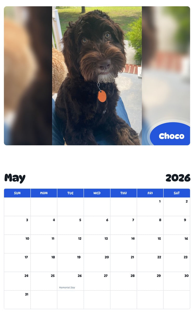 2026 - 2027 Choco - Pawidols Pet Calendar