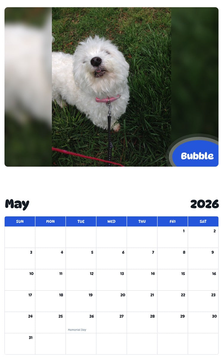 2026 - 2027 Bubble - Pawidols Pet Calendar
